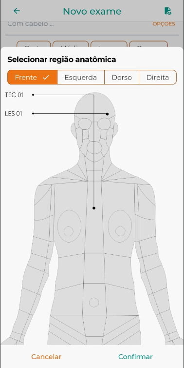 regiões anatômicas