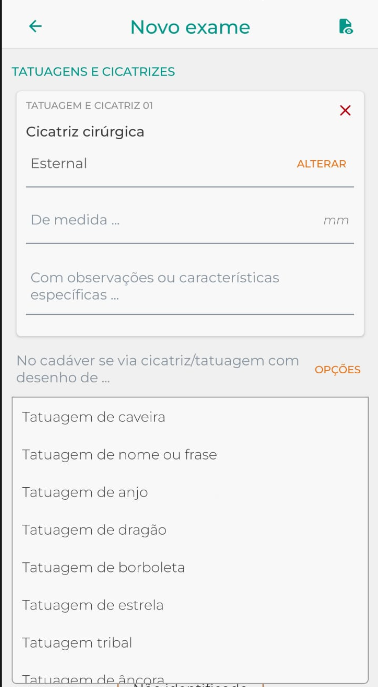 tatuagens e cicatrizes